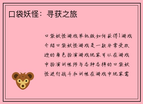 口袋妖怪：寻获之旅